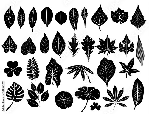 silhouette leaves set