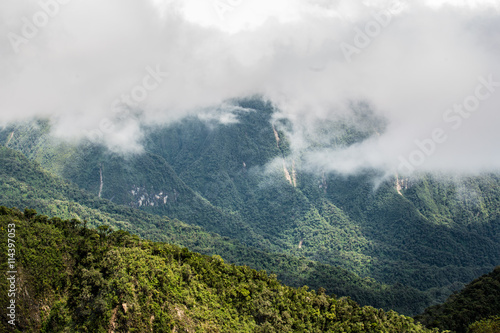 Tropical montane cloud forest, Ecuador east slope of Pichincha