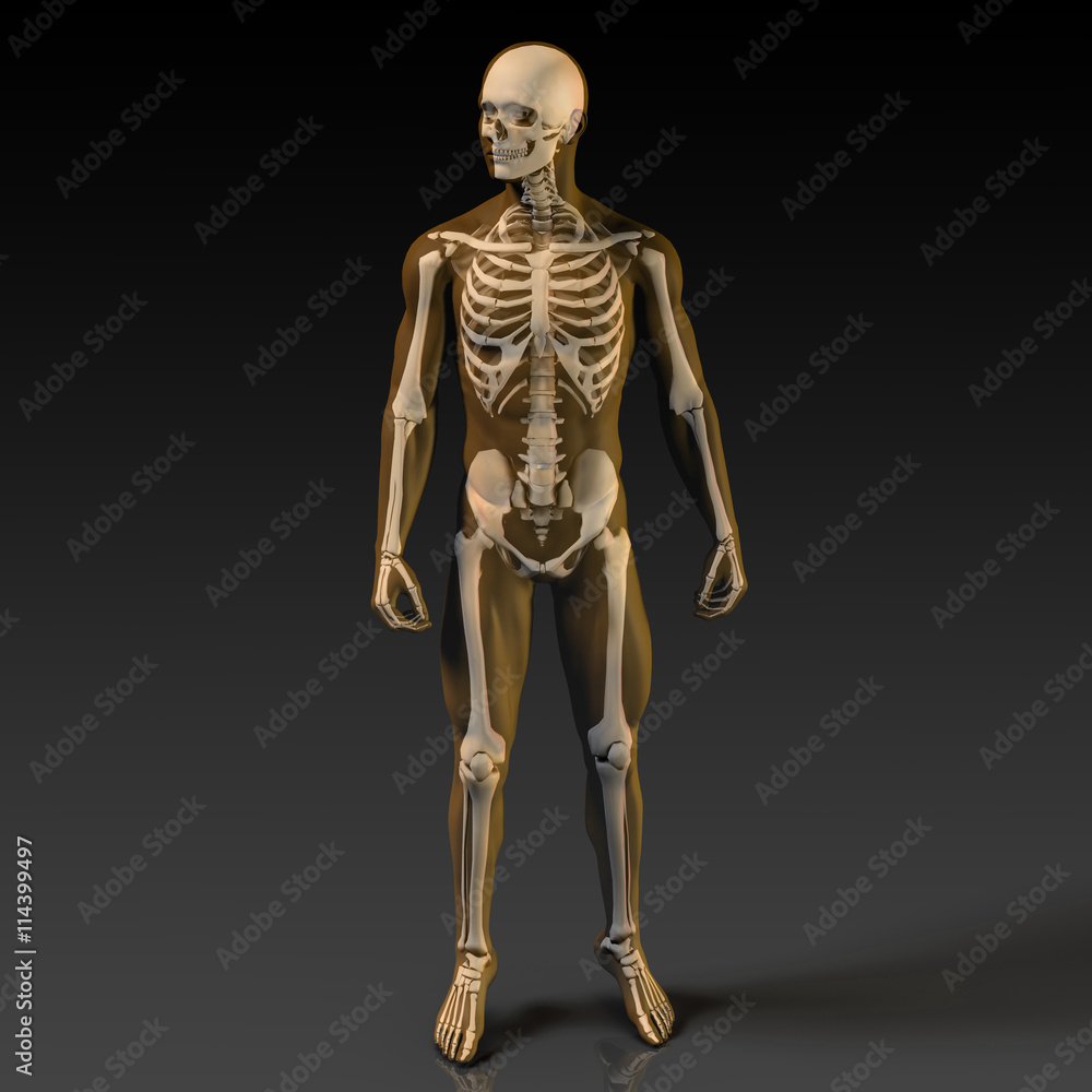 Research and Development on Body Science Research and Development on Body Science