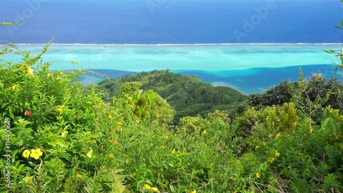 View over the lagoon from the top of the mount Pohue Rahi with lush vegetation in foreground, Huahine island, Pacific ocean, French Polynesia
 photo