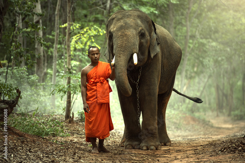 Photography The monk with elephant