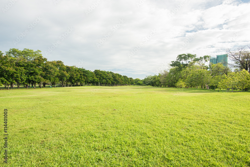 Obraz premium Green grass field in park at city center