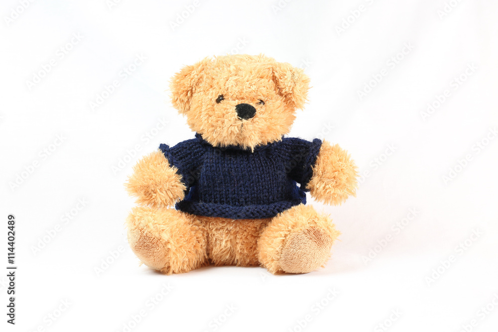 Obraz premium Teddy Bear stuffed toy