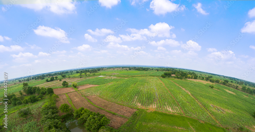 Aerial view of farm fields