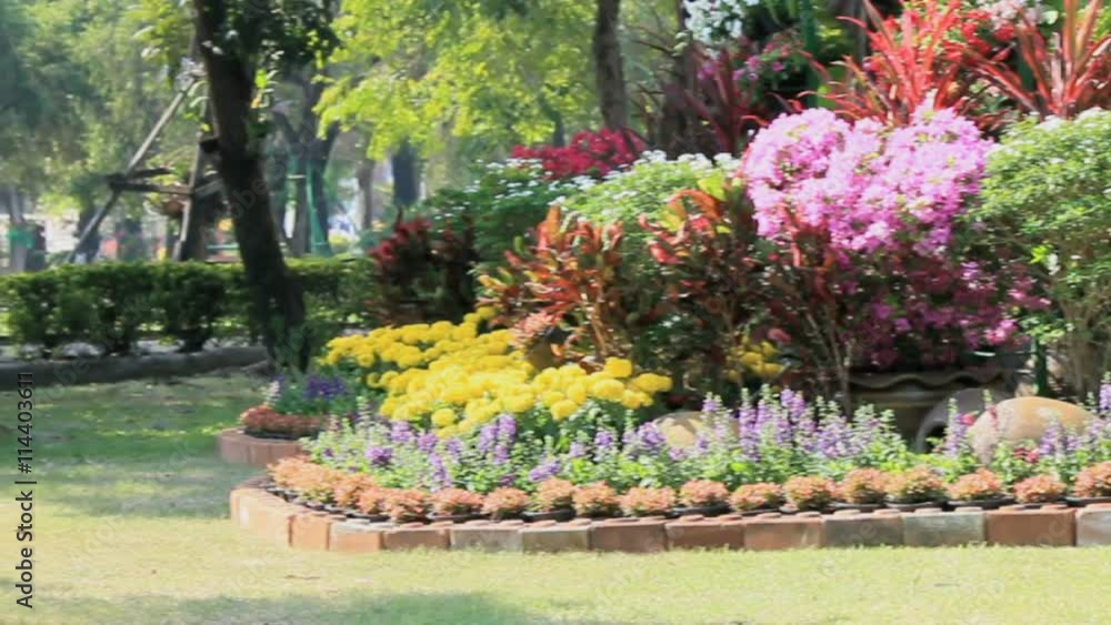 Flowers in the garden, HD vdo. /Landscaped flower garden with lots of colorful blooms on summer, HD vdo. Flowers in the garden, HD vdo. /Landscaped flower garden with lots of colorful blooms on summer, HD vdo.