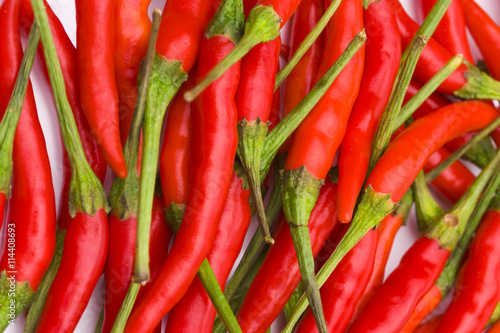 Chili Peper