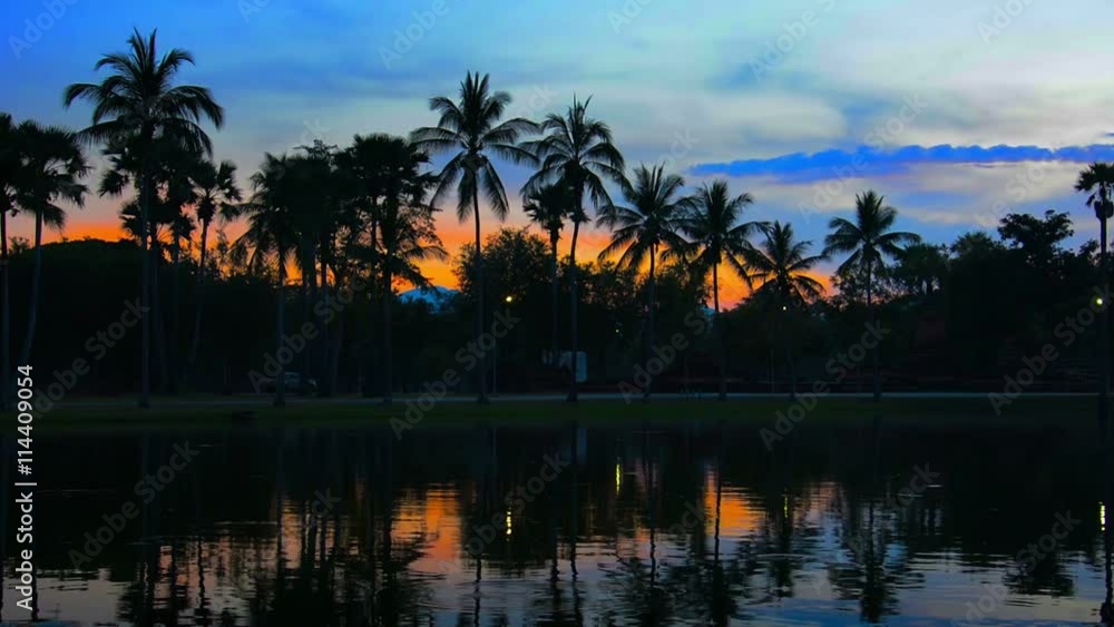 1920x1080 video - Sun setting with beautiful, orange hues behind a line of palm trees along the water's edge at a pond in Sukhothai, Thailand. 1920x1080 video - Sun setting with beautiful, orange hues behind a line of palm trees along the water's edge at a pond in Sukhothai, Thailand.
