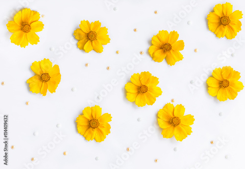 Yellow flowers with water drops on petals and pearl beads on white background, abstract