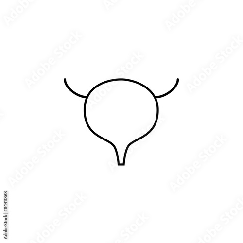 Vector bladder icon