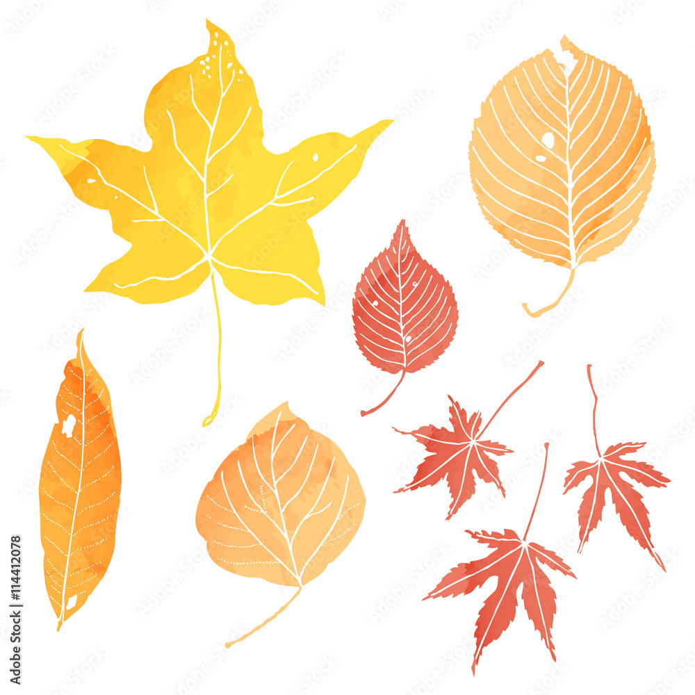 Fototapeta premium 落葉１