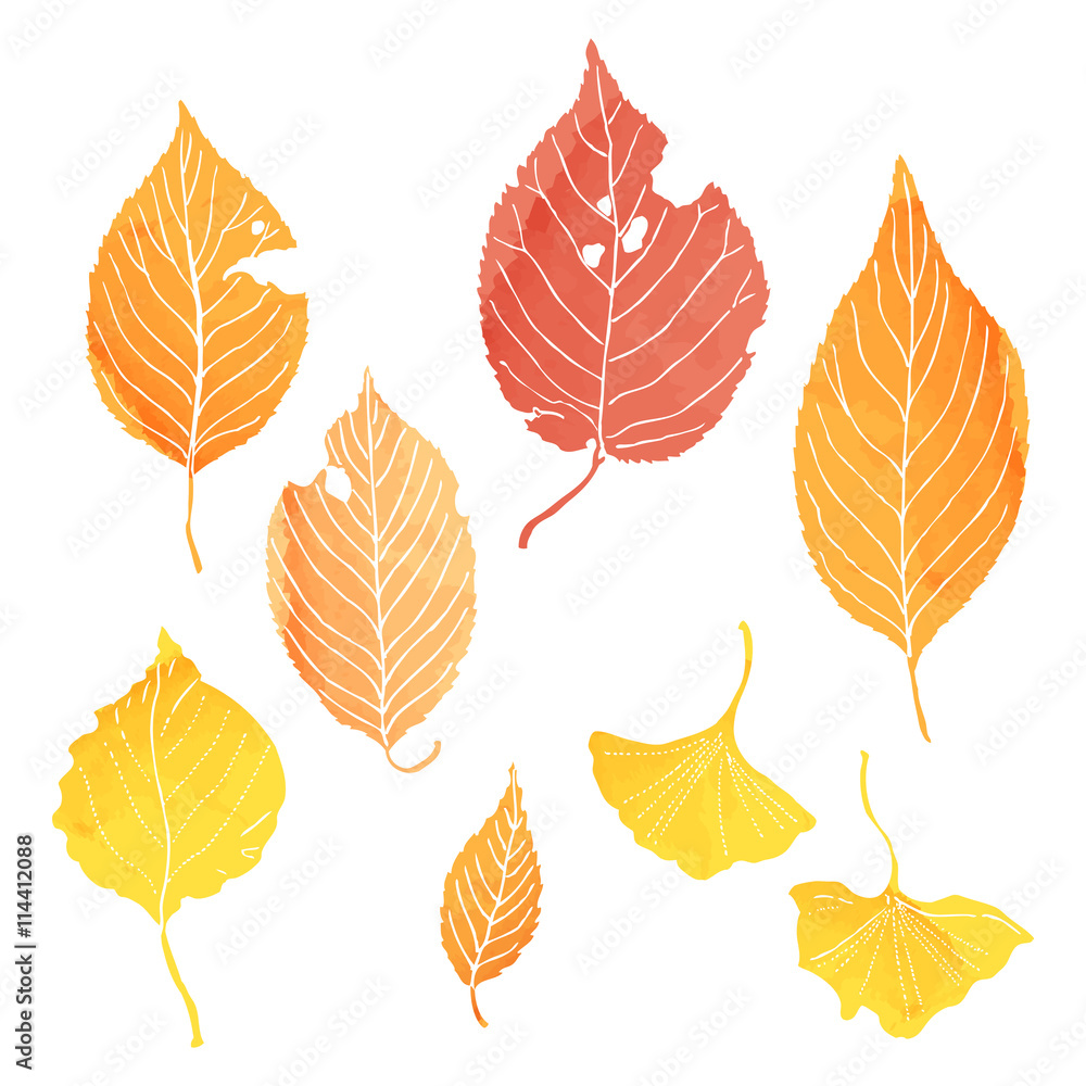 Obraz premium 落葉2