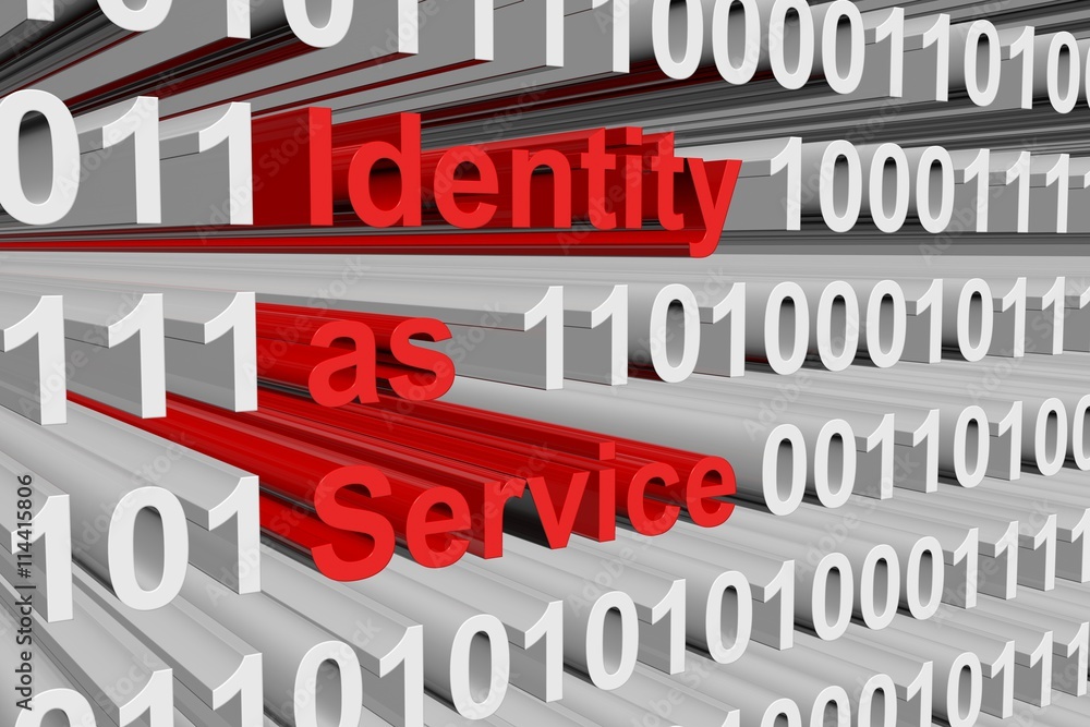 Identity as Service in the form of binary code, 3D illustration Identity as Service in the form of binary code, 3D illustration