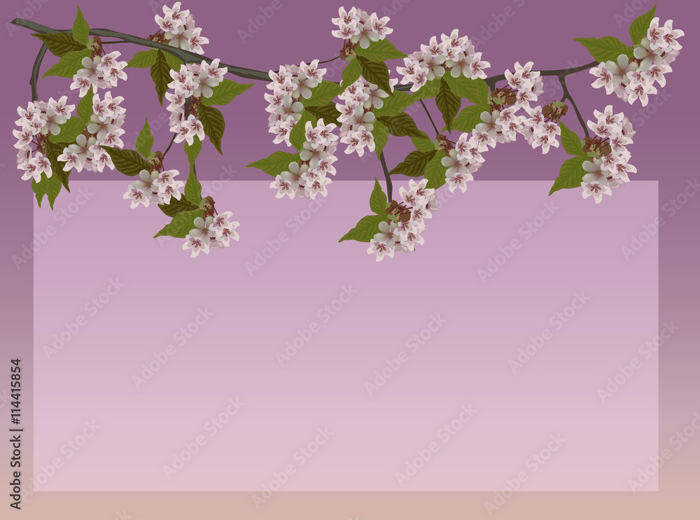 light spring blossoming branches on pink background light spring blossoming branches on pink background