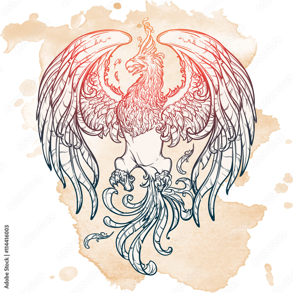 Naklejka premium Sketch drawing of Phoenix isolated on grunge background.