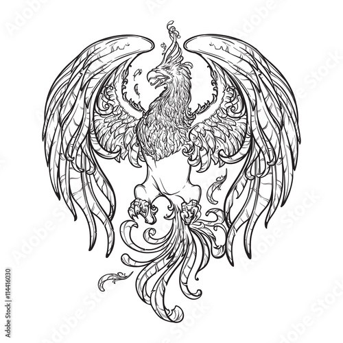 Sketch drawing of Phoenix isolated on white background.