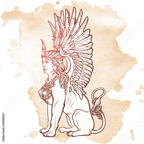 Sketch drawing of sitting sphinx isolated on grunge background.