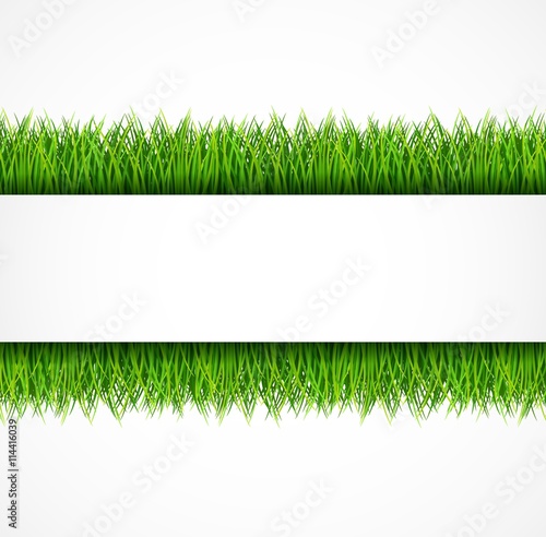 Nature background with fresh green grass