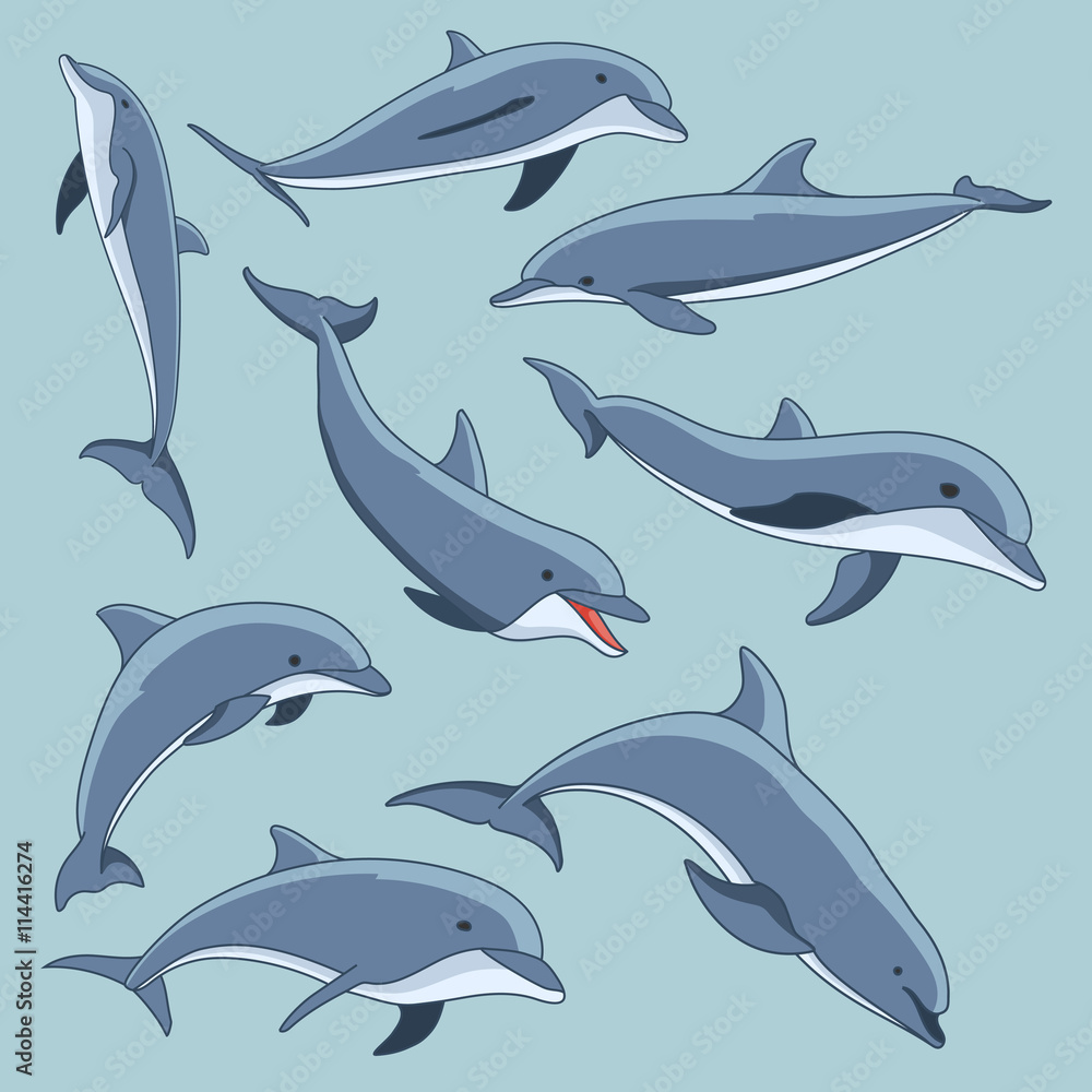 Vector hand drawn set of dolphins Vector hand drawn set of dolphins