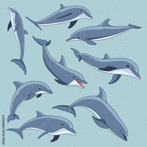 Vector hand drawn set of dolphins