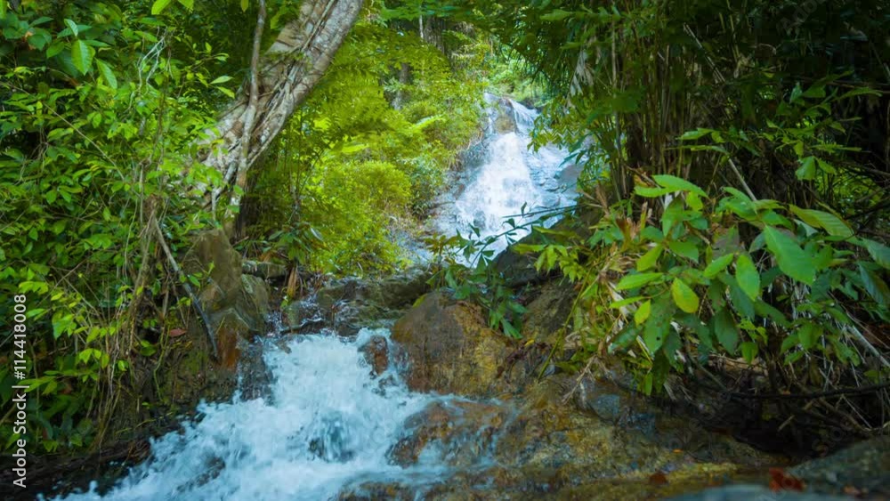 3840x2160 video - Clean, clear and refreshing mountain stream, rushing and tumbling down a rocky waterfall in a Southeast Asian wilderness. With sound. 3840x2160 video - Clean, clear and refreshing mountain stream, rushing and tumbling down a rocky waterfall in a Southeast Asian wilderness. With sound.