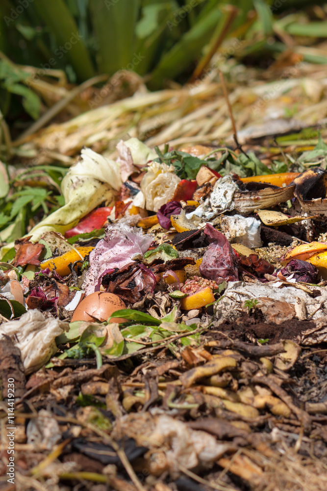 Bio waste. Organic waste with pieces of lemons, onions and others fruits in decomposition.