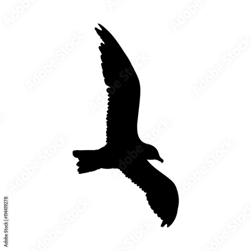 Seagull flying silhouette isolated on white background. Vector illustration