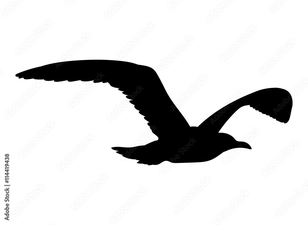 Naklejka premium Mewa latająca sylwetka na białym tle. Ilustracji wektorowych