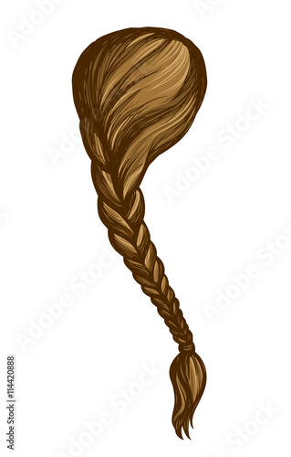 Long braid. Vector drawing