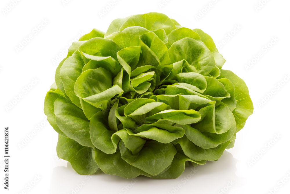 Obraz premium Lettuce.