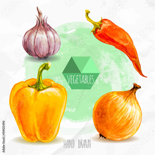 Watercolor hand painted vegetables set. Eco food illustration. Watercolor green background. Garlic, chili pepper, bell pepper and onion. Hot and spicy.
