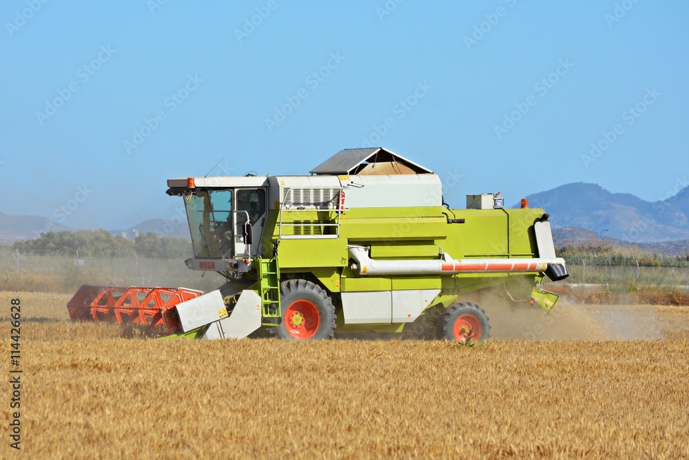 Obraz premium Cosechando cebada