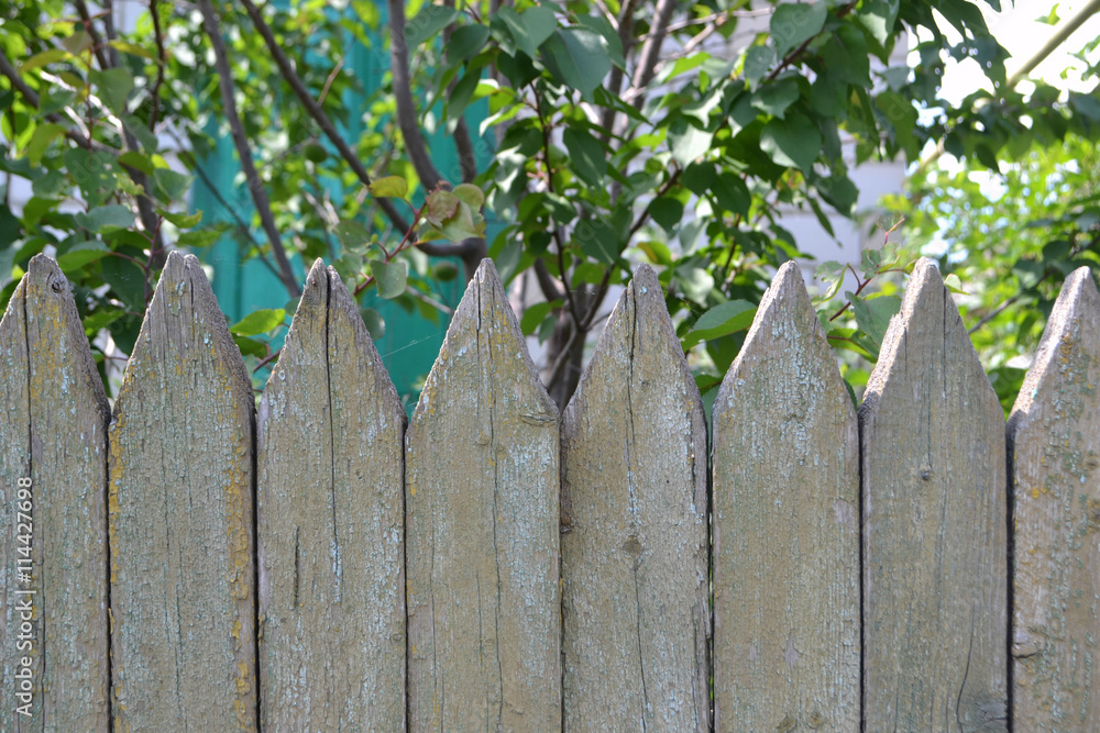 wooden fence