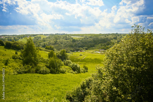 meadow, sky, landscapes, tree