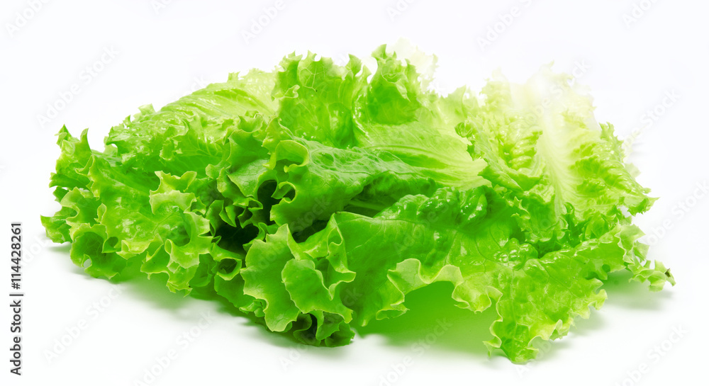 Fresh lettuce leaves isolated on a white Fresh lettuce leaves isolated on a white