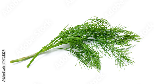 Fresh green fennel isolated on a white