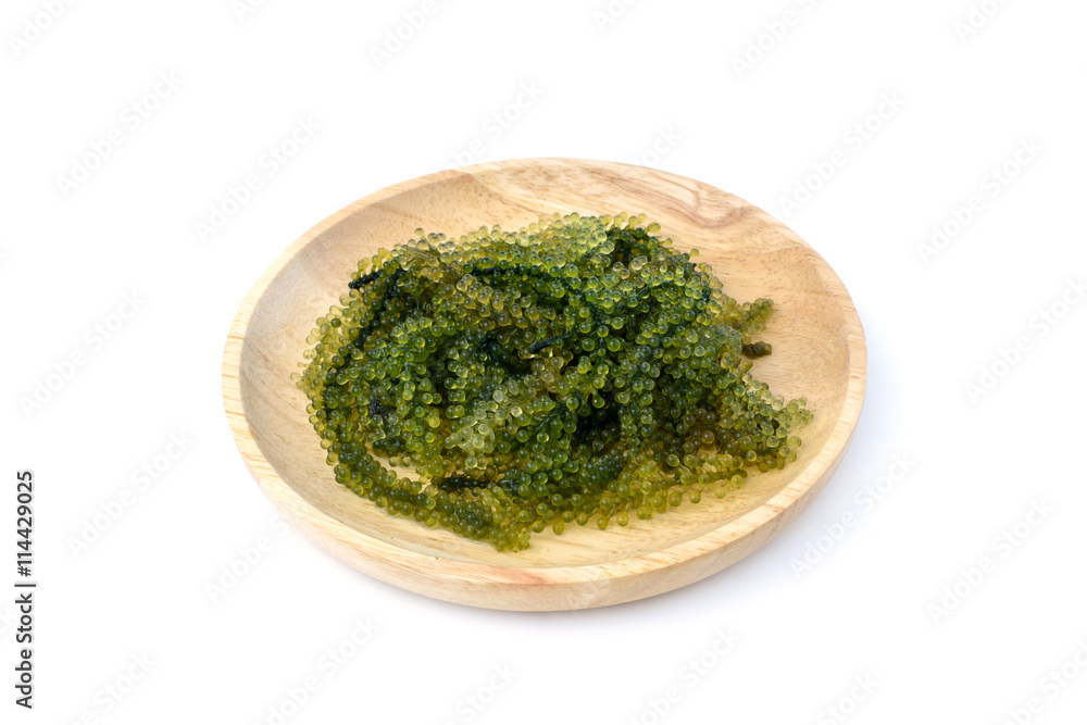Sea Grapes (Caulerpa Lentillifera) seaweed Sea Grapes (Caulerpa Lentillifera) seaweed