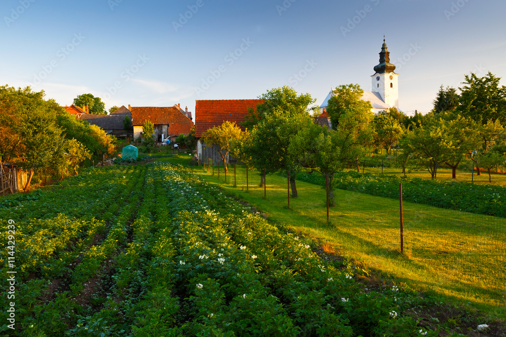 Gardens in a village of Turiec region, northern Slovakia.