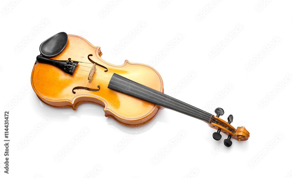 Fototapeta premium violin on white background
