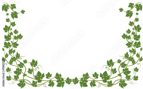 frame with vine leaves