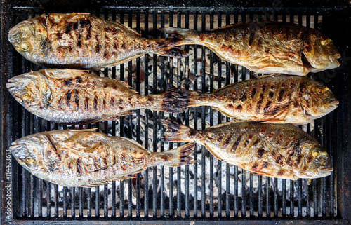 Photography Preparing Fish on the charcoal grill