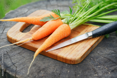 Фотография fresh carrots bunch on rustic wooden background