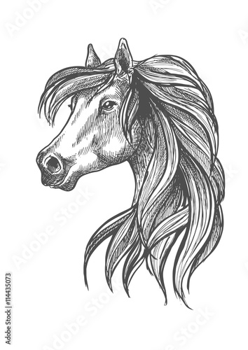 Profile portrait of purebred andalusian mare icon © Vector Tradition