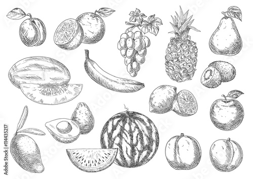 Enjoyable flavorful fresh fruits sketch icons