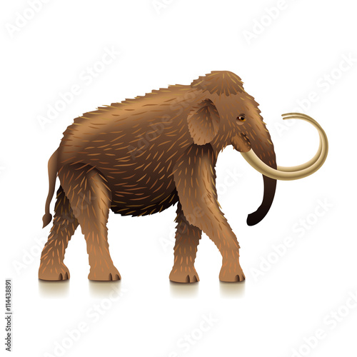 Mammoth isolated on white vector