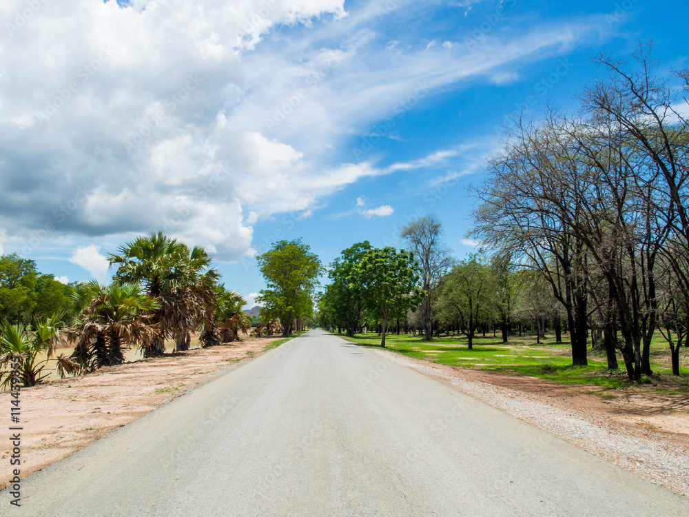 Beautiful Quiet Road with Tree aside 