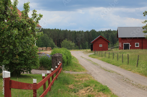 Countryside in Sweden photo