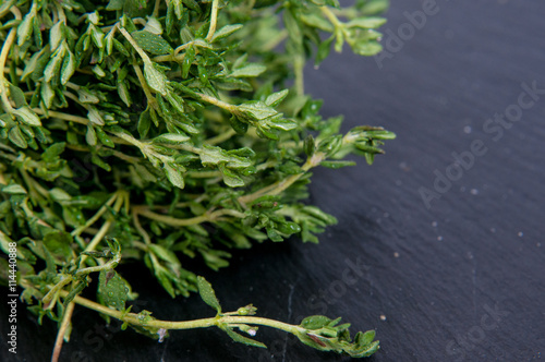 fresh green thyme, Thymus vulgaris, on a dark slate background