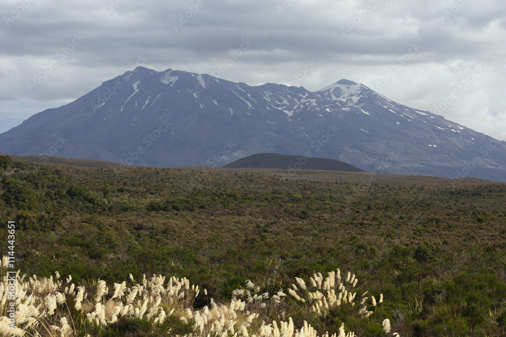 Fototapeta premium The plains in front of Mount Tongariro.