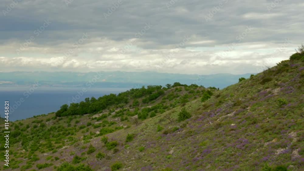 Total view over flowering sage field and mediterranean sea in the background
Total view over flowering sage field and mediterranean sea in the background