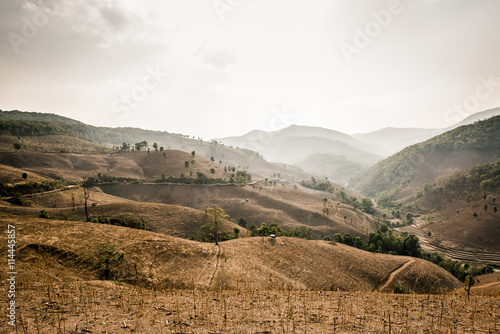 Mountain destroyed by human for cultivate plants.